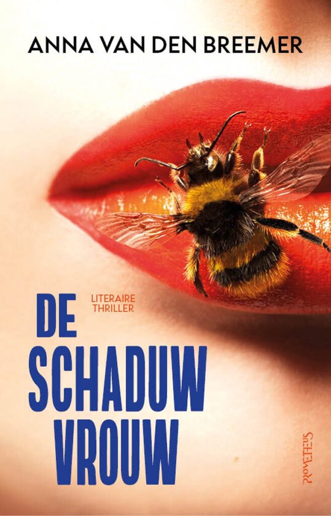 De schaduwvrouw van Anna van den Breemer